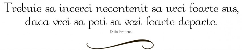 ctin brancusi