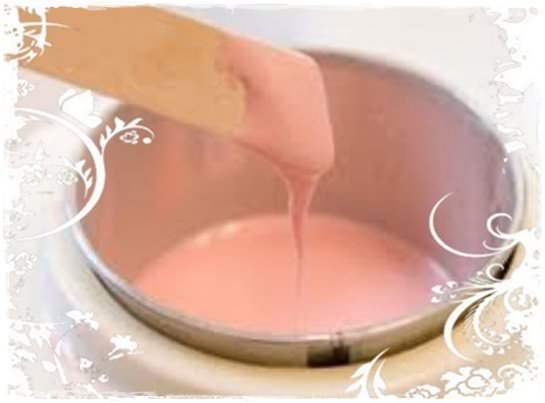 ceara roz studio jolie