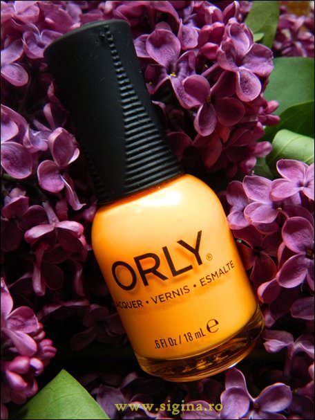 orly baked2